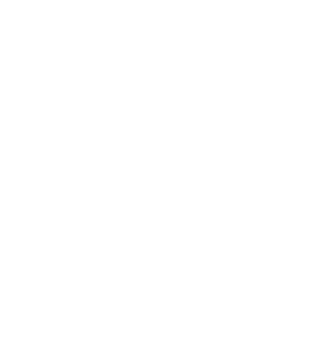 chambers-313x291-1.png